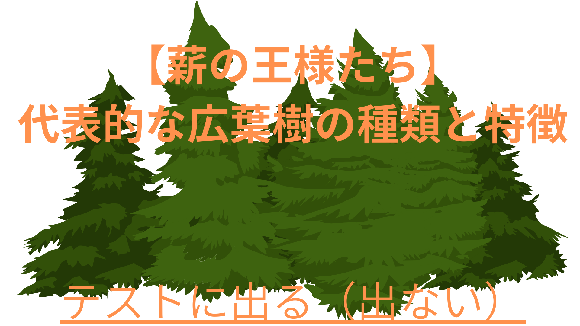 クヌギ（櫟）とは？里山の象徴から最高の薪まで、その特徴と魅力を徹底 